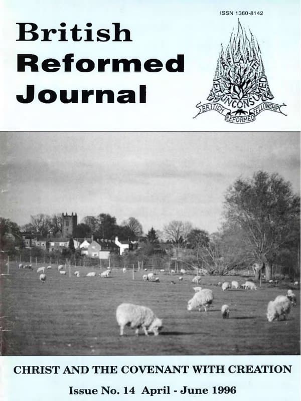 Issue 14