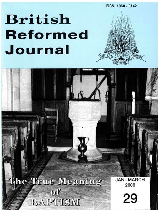 Issue 29