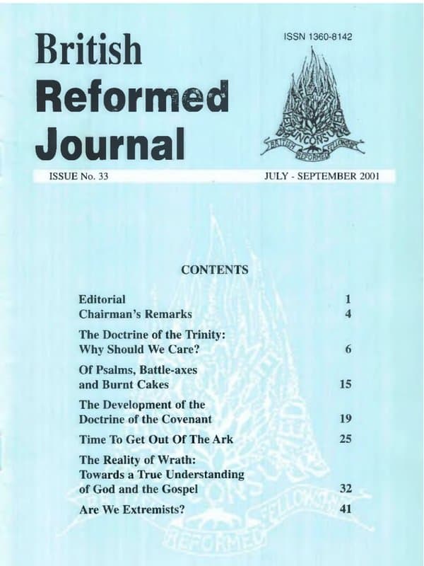 Issue 33
